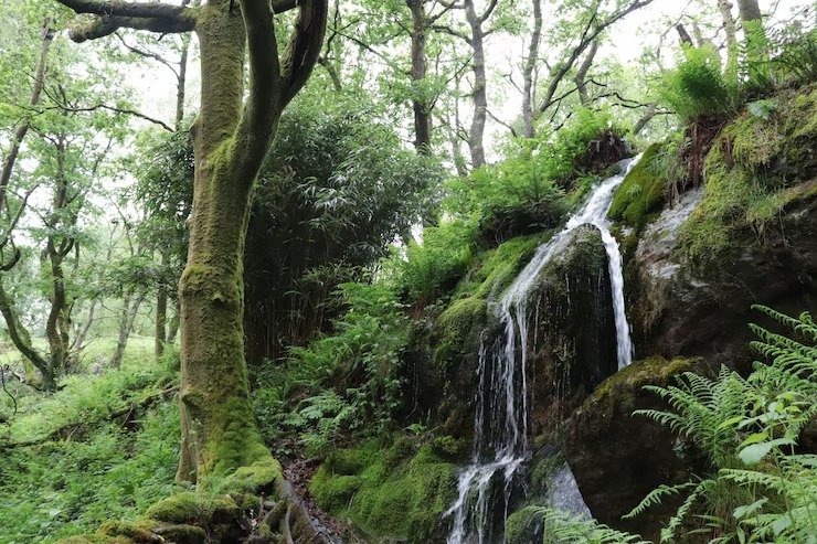 Fairy Falls surroundings